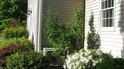Cape Cod Combination